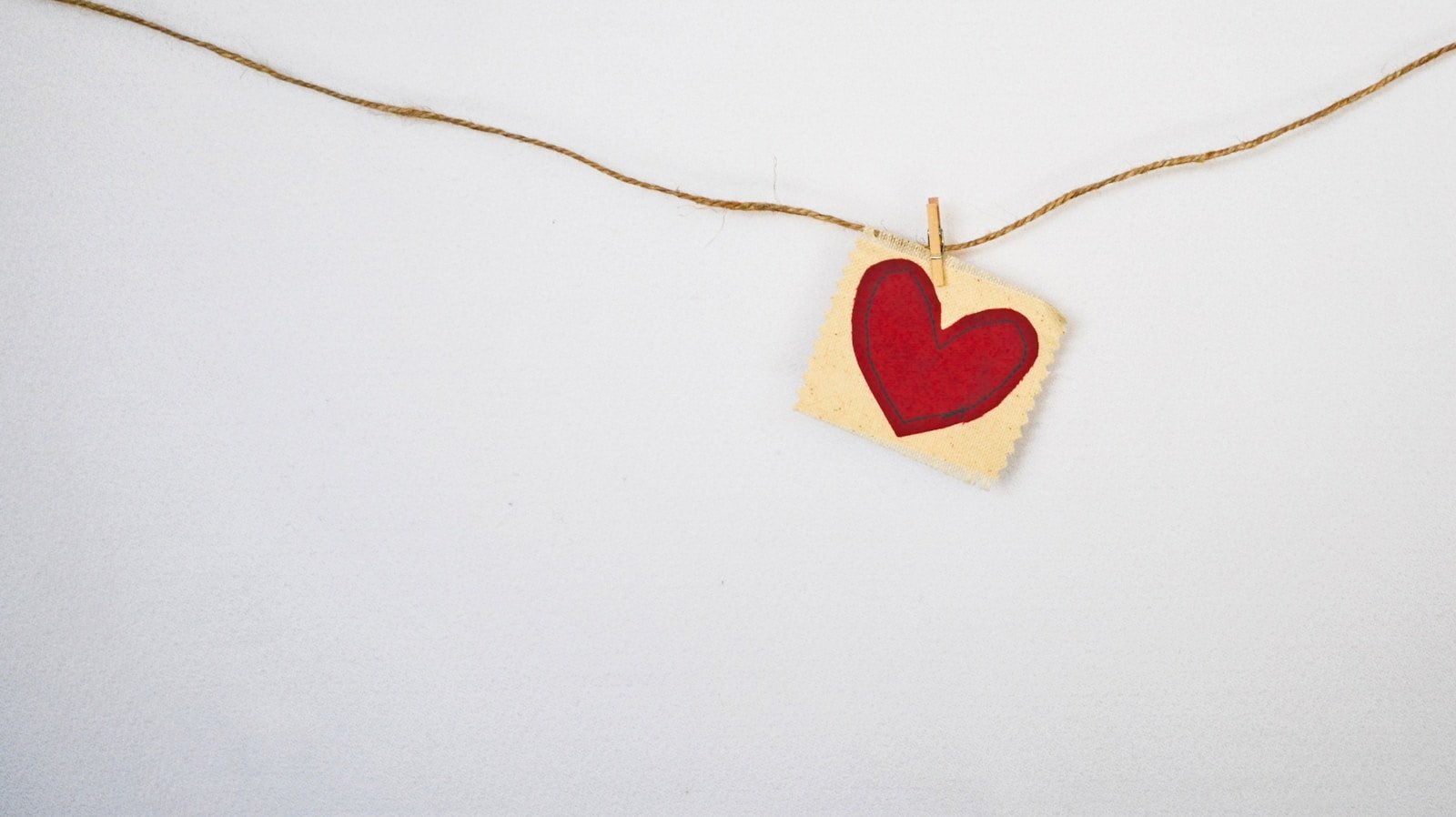 Comment fonctionne le coeur ?